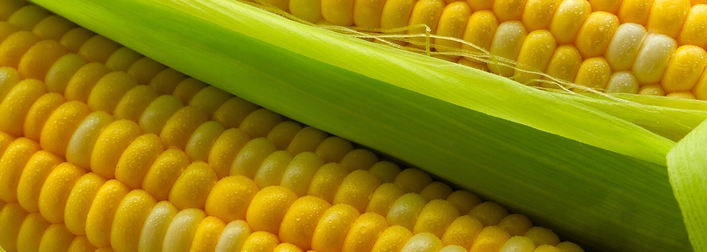 corn